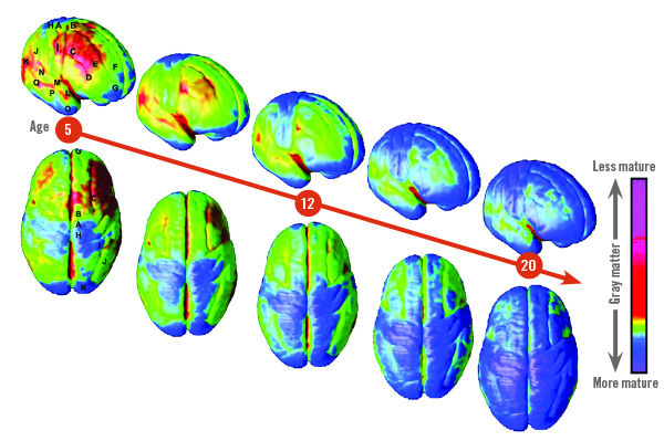 xv38-8-p7-graphic.jpg.pagespeed.ic.WMeoA6hPfR